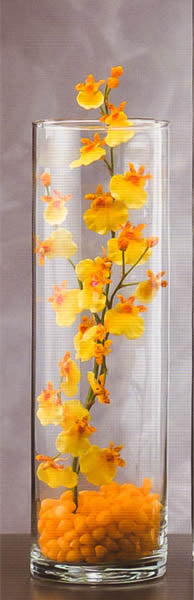 Vaso Cilindrico in vetro base 12 cm altezza 40 cm.